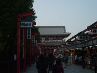 S5003699.JPG